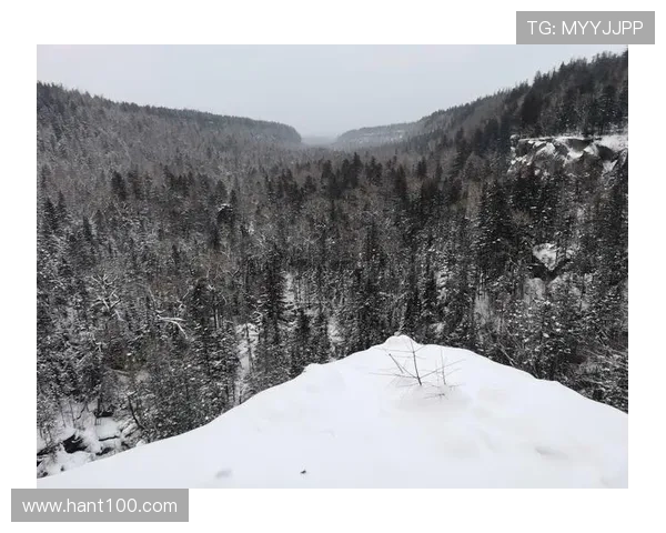 德国的皑皑白雪：一场被遗忘的雪崩悲歌