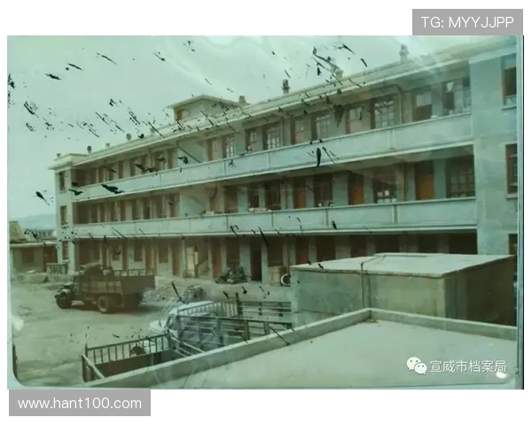 校墓处:一座城市的记忆守护者与未来引路人